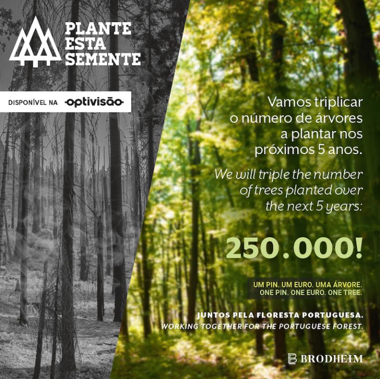 Primoptica presents the initiative “Plant this seed”