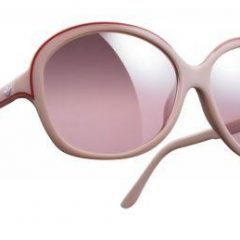 Imagem da notícia: Protec&ccedil;&atilde;o feminina e maternal