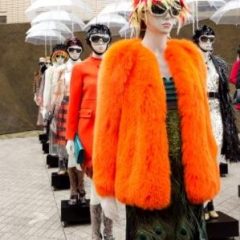 Imagem da notícia: Illusion Sunglasses by Prada em destaque