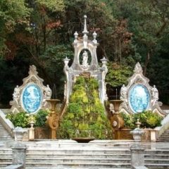 Imagem da notícia: Primeira revista portuguesa para cegos chega em setembro