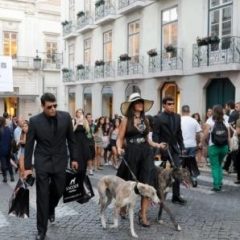 Imagem da notícia: As &oacute;pticas no VFNO de Lisboa