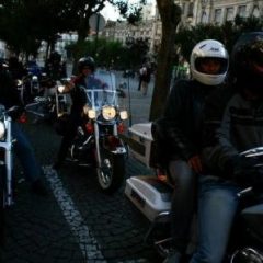 Imagem da notícia: Chegaram as Shamir 2Wheels