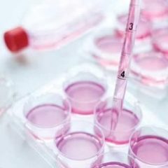 Imagem da notícia: Portugueses ganham bolsa de mais de 4 milh&otilde;es de euros