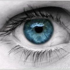 Imagem da notícia: ANO promove rastreio à visão na Assembleia da República