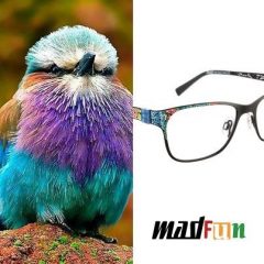 Imagem da notícia: Mad in Italy defende o fabrico italiano