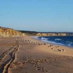 Imagem da notícia: Chegada do ver&atilde;o exige aten&ccedil;&atilde;o redobrada