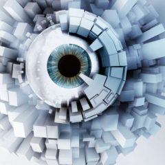 Imagem da notícia: Congresso da ANO está a chegar!