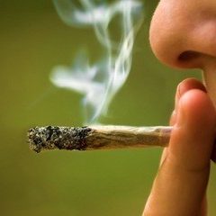 Imagem da notícia: Fumar marijuana n&atilde;o ajuda a tratar glaucoma, segundo estudo