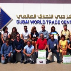 Imagem da notícia: ANO viajou at&eacute; ao Dubai com 25 &oacute;ticos