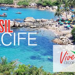 Imagem da notícia: Brasil, próximo destino do ViveCECOP