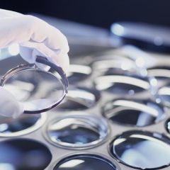 Imagem da notícia: O que se vende mais nas óticas?