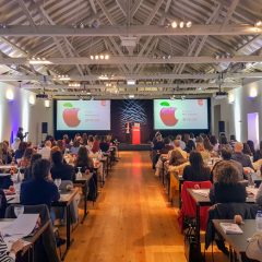 Imagem da notícia: Ergovisão reúne mais de 100 profissionais em Aveiro