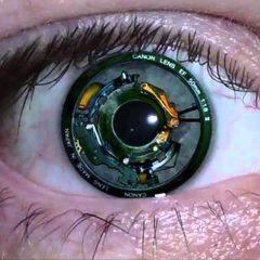 Imagem da notícia: Israel: retina artificial poderá devolver visão a cegos