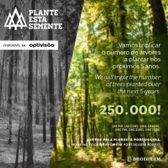 Imagem da notícia: Primóptica apresenta iniciativa “Plante esta semente”