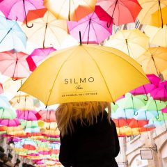 Imagem da notícia: Começa hoje o Silmo Paris