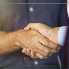 Imagem da notícia: CECOP junta-se ao Grupo Óptico Universal