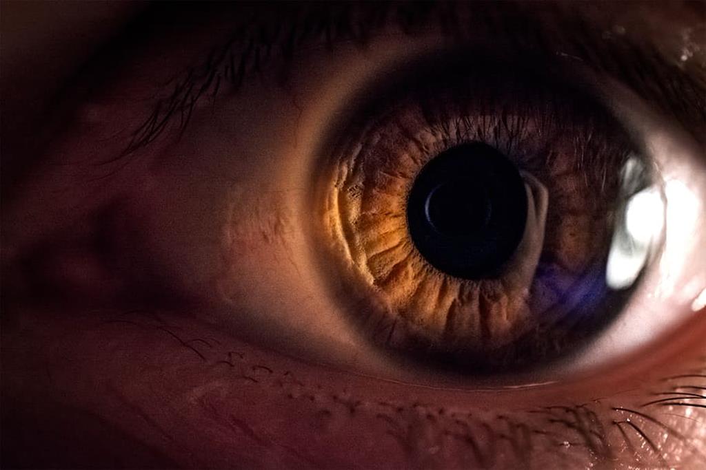 Imagem da notícia: Textura da retina pode alertar para doença de Alzheimer