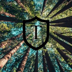 Imagem da notícia: Prooptica reforça o portfolio de óculos com a Throttleman eyewear