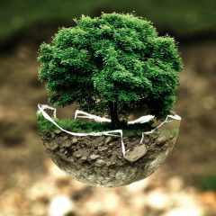 Imagem da notícia: Boas Práticas na publicidade: o guia para combater o “greenwashing”