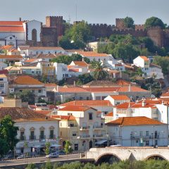 Imagem da notícia: Multiopticas assinala Dia Mundial da Literacia em Silves