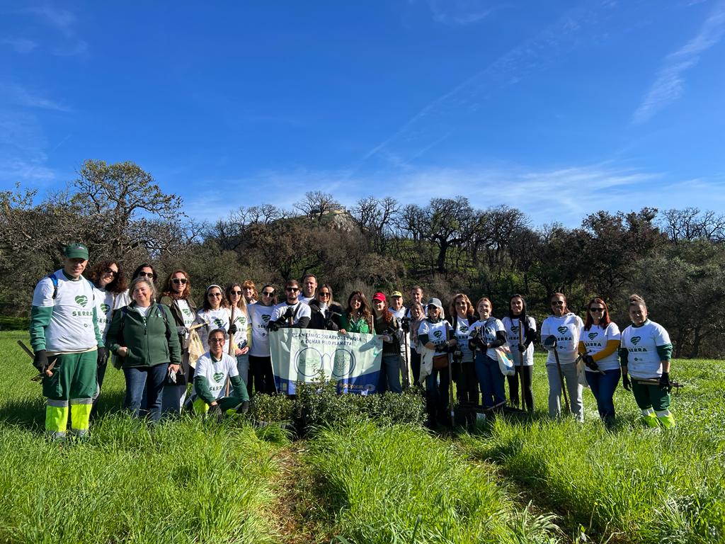 Imagem da notícia: Multiopticas realiza ação de plantação de árvores