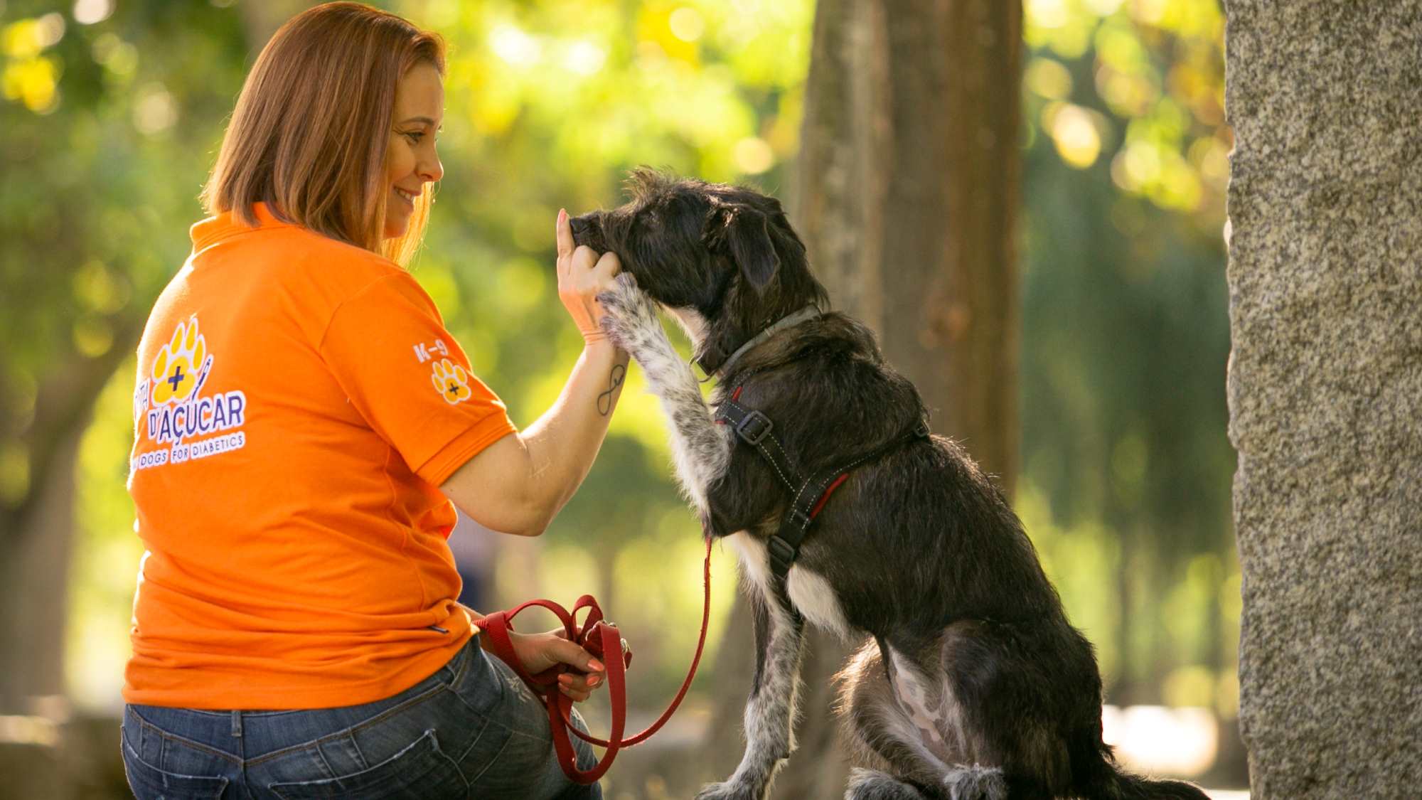 Imagem da notícia: Pata d’Açúcar, uma associação com “anjos de quatro patas”