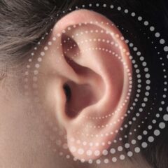 Imagem da notícia: EssilorLuxottica expande-se para o mercado das soluções auditivas
