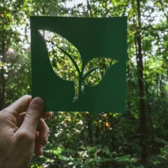 Imagem da notícia: Hoya avança no seu compromisso com a sustentabilidade