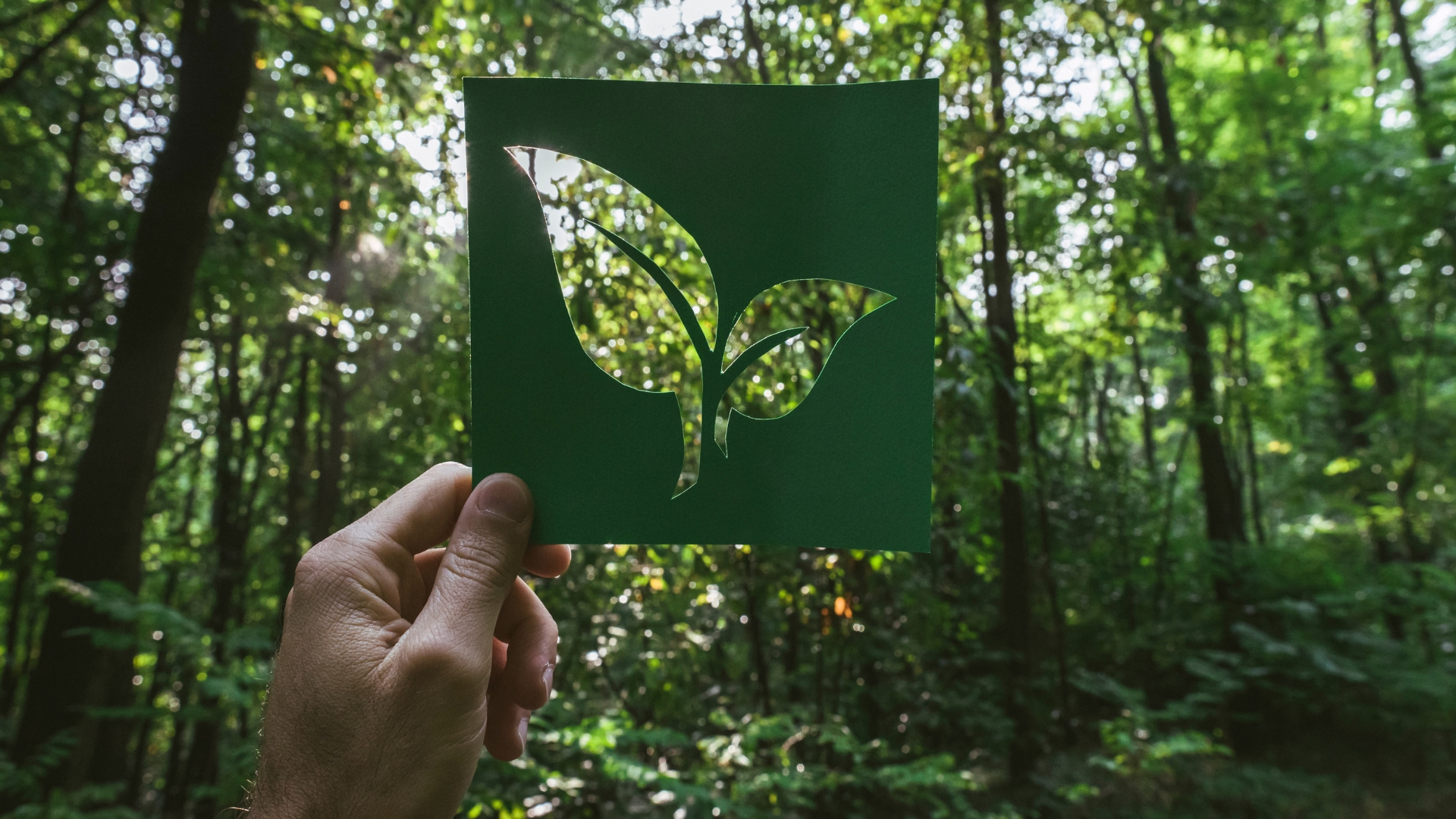 Imagem da notícia: Hoya avança no seu compromisso com a sustentabilidade