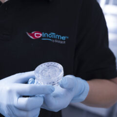 Imagem da notícia: Shamir celebra 25 anos em Portugal