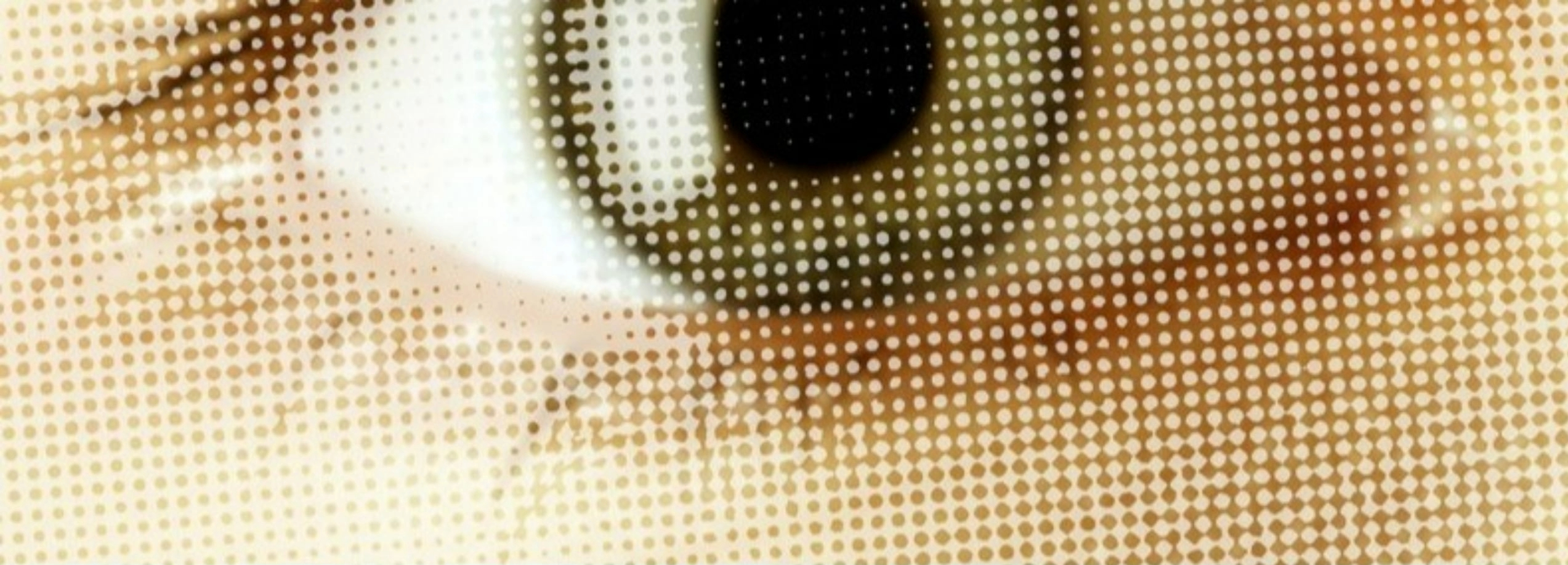 Imagem da notícia: CONTACTUM2026: Jornada de Contactologia online com certificação científica