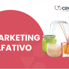 Imagem da notícia: CECOP Portugal aposta no marketing olfativo para elevar experiência nas óticas associadas